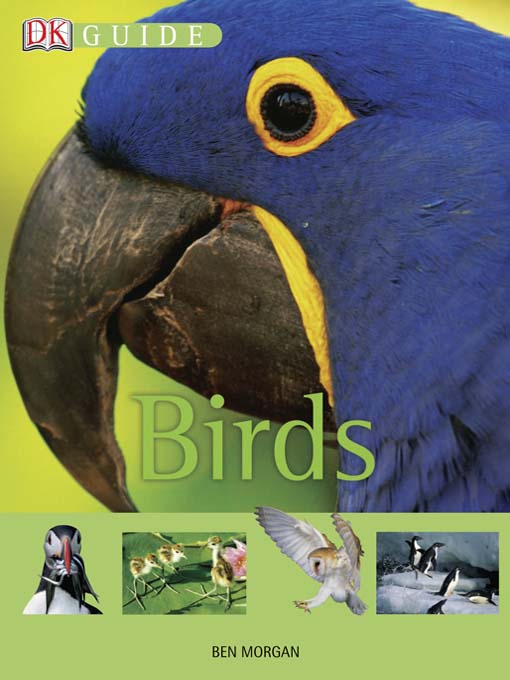Title details for Birds by Ben Morgan - Available